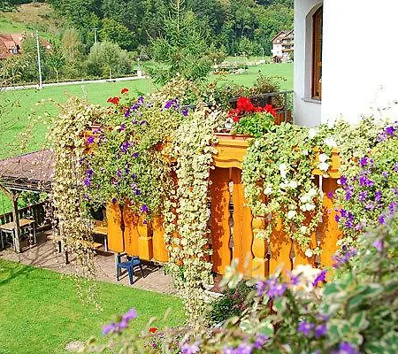 Guest house Haus Rose
