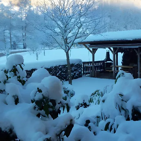 Haus Rose Holiday home Oberharmersbach