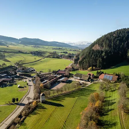 Haus Rose Holiday home Oberharmersbach