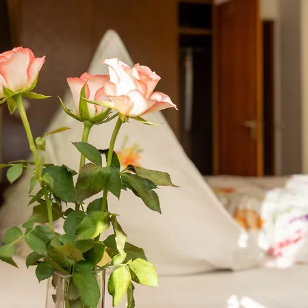 Haus Rose בית נופש