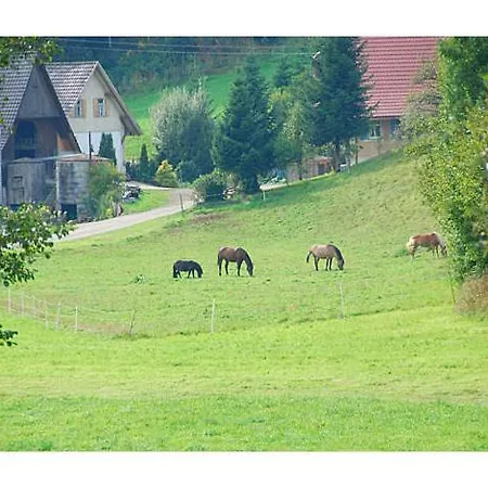 Πανσιόν Haus Rose Oberharmersbach