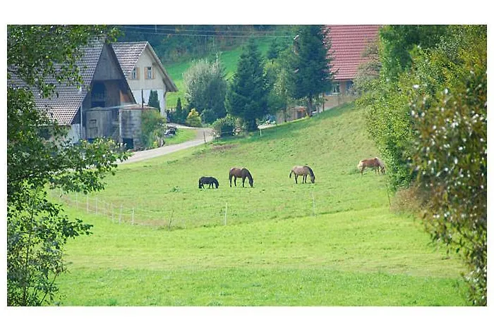 Pensjonat Haus Rose Oberharmersbach