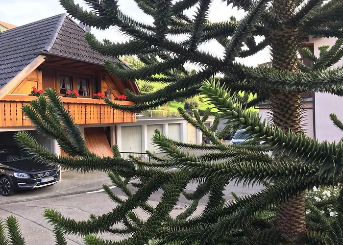 Haus Rose Pensjonat Oberharmersbach